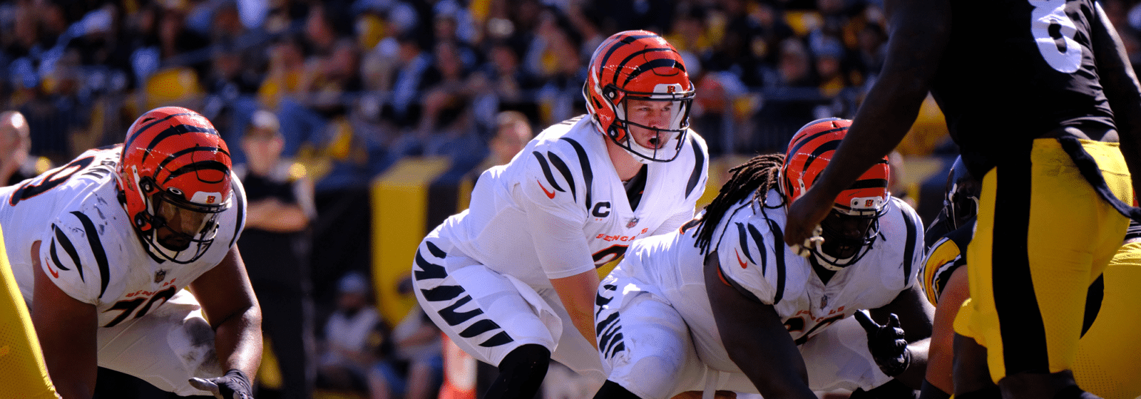 Cincinnati Bengals vs. Pittsburgh Steelers