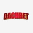 Dachbet